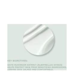 Ren Evercalm Ultra Comforting Rescue Mask 7 Ren Evercalm Ultra Comforting Rescue Mask -Babor Store Evercalm Ultra Comforting Rescue Mask ad 71959 4705 general