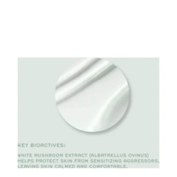 Ren Evercalm Ultra Comforting Rescue Mask 5 Ren Evercalm Ultra Comforting Rescue Mask - Image 3